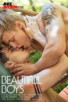 Beautiful Boys 2 film afişi