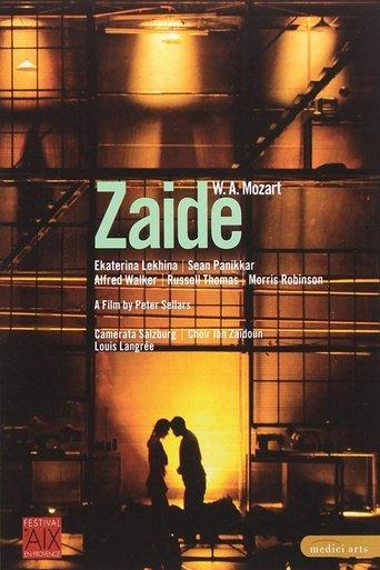Zaide film afişi