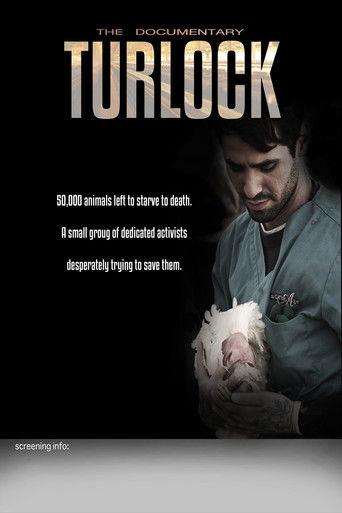 Turlock film afişi
