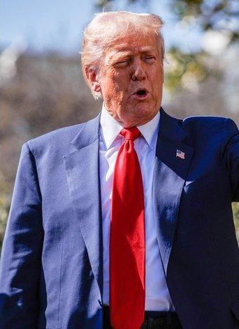 Trump - Er ist wieder da film afişi