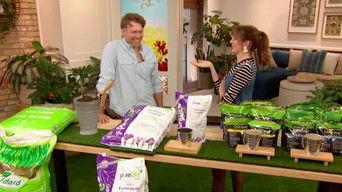 Monday, September 29, 2025