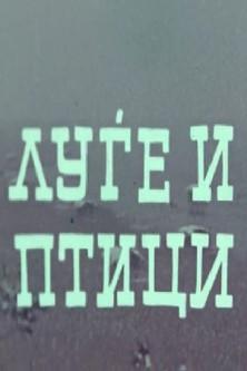 People and Birds film afişi