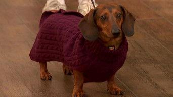 Thursday, October 9, 2025