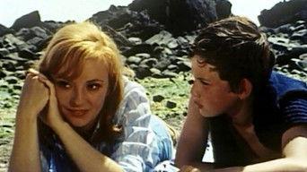 SOS off the coast of Greenland