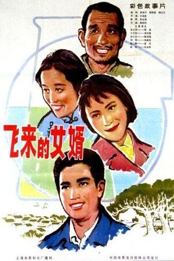 飞来的女婿 film afişi