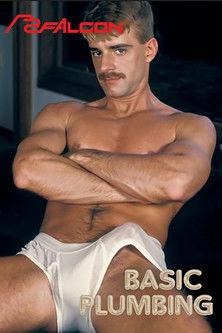 Basic Plumbing film afişi