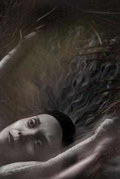 In Perpetuum film afişi