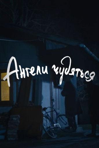 DZIDZIO: The Angels Gaze in Wonder film afişi