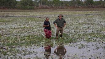 Kakadu Wetlands