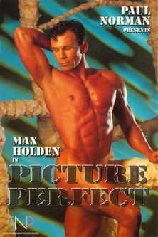 Picture Perfect film afişi