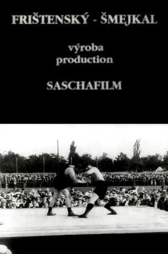 Frištenský - Šmejkal film afişi