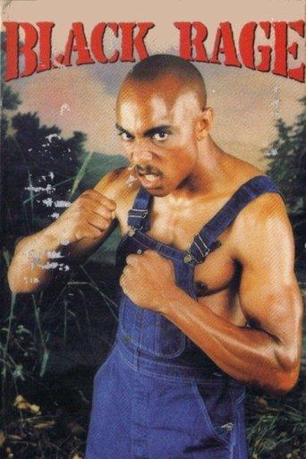 Catch the Black Sunshine film afişi