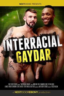 Interracial Gaydar film afişi