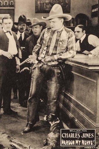 Pardon My Nerve! film afişi