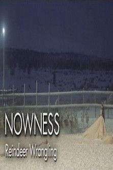 Untold Odyssey: Reindeer Wrangling film afişi