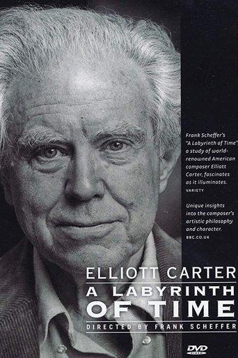 A Labyrinth of Time film afişi