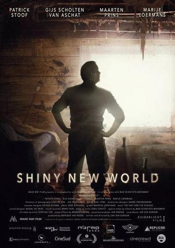 Shiny New World film afişi