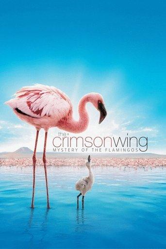 The Crimson Wing: Mystery of the Flamingos film afişi
