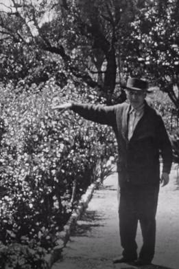 Chagall dans son jardin a Saint-Paul-de-Vence film afişi