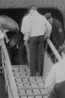 S.S. Saxonia in Liverpool film afişi