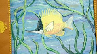 Behind the Scenes: Coral Reef Episode from “Weird But True!”