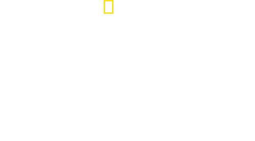 Deadly Instincts logo