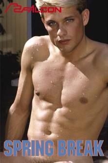 Spring Break film afişi