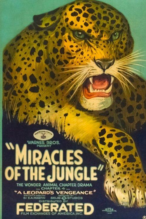Miracles of the Jungle film afişi