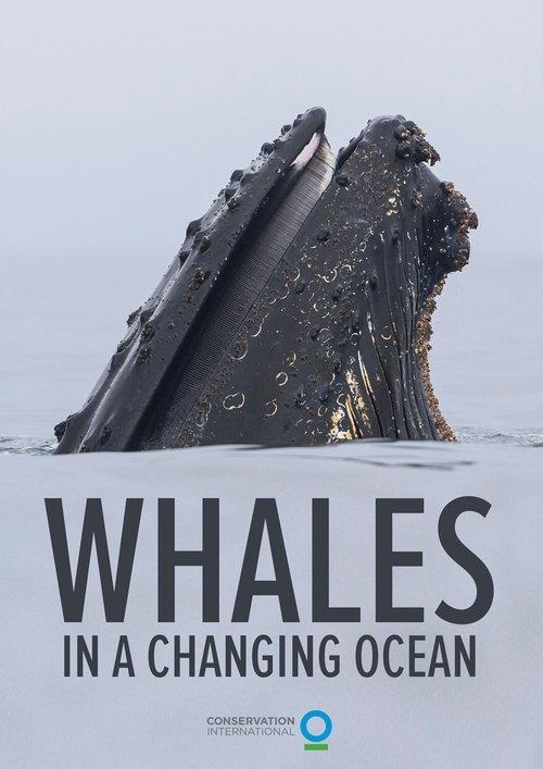 Whales in a Changing Ocean film afişi