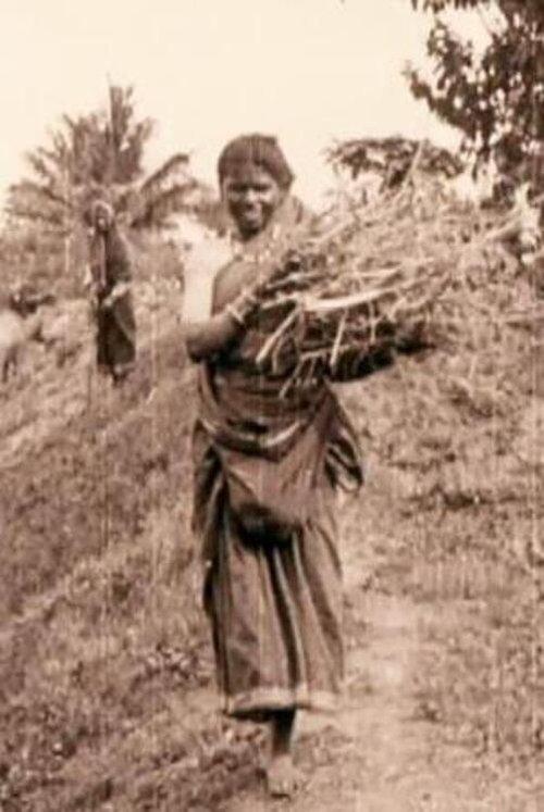 Edward Prince of Wales' Tour of India: Peshawar, The Khyber Pass and Rawl Pindi film afişi