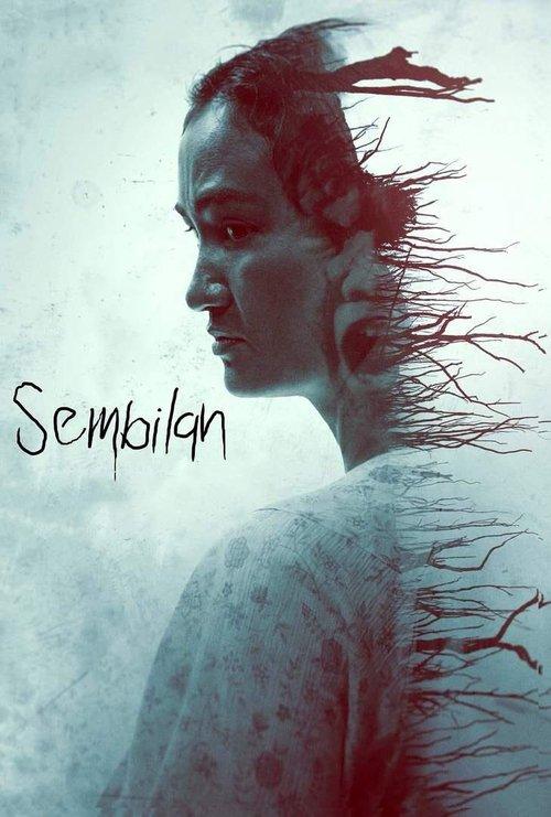 Sembil9n dizi afişi