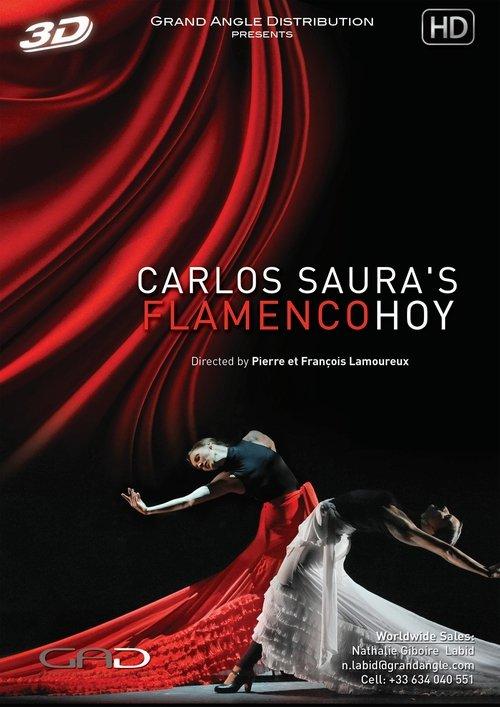 Carlos Saura's FlamencoHoy film afişi