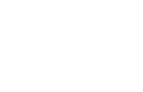 Man v. Food logo