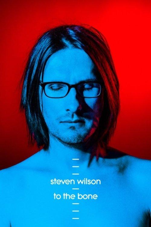 Steven Wilson: Ask Me Nicely - The Making of To The Bone film afişi
