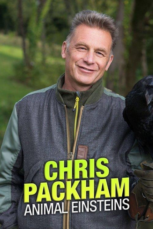 Chris Packham's Animal Einsteins dizi afişi