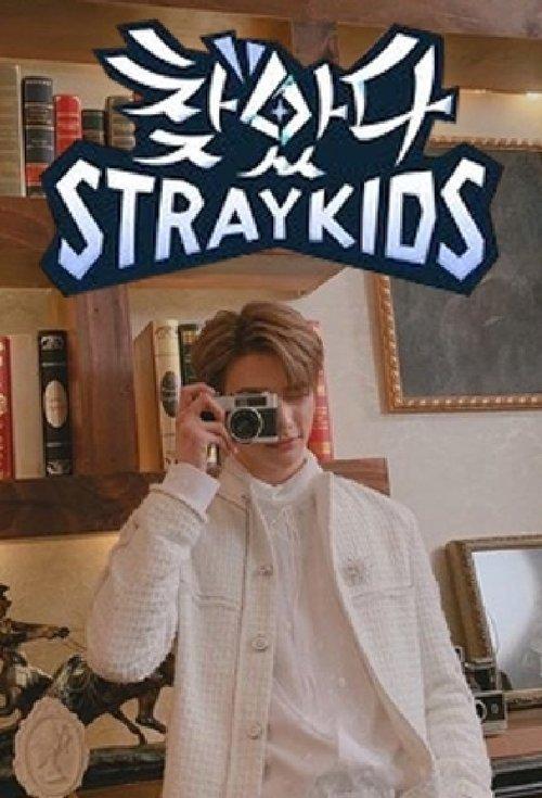 Stray Kids: Finding SKZ dizi afişi