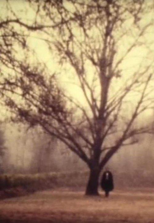 D. Jaime or the Portuguese Night film afişi