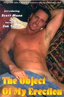 The Object of My Erection film afişi