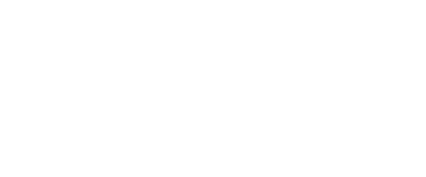 Tushy Raw V80 logo