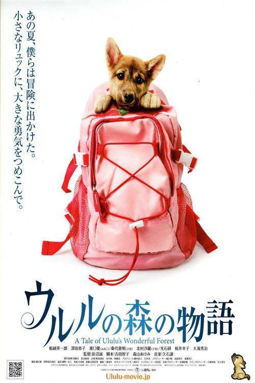 A Tale of Ululu's Wonderful Forest film afişi