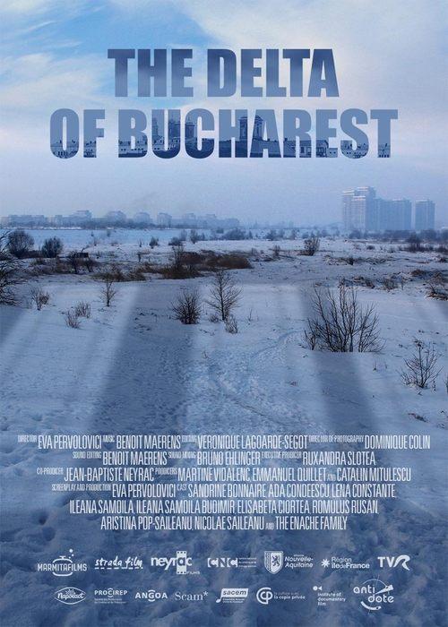 The Delta of Bucharest film afişi