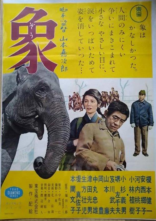Elephant from "Zoo Story" film afişi