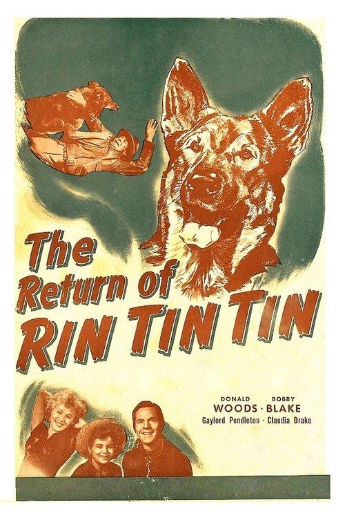The Return of Rin Tin Tin film afişi