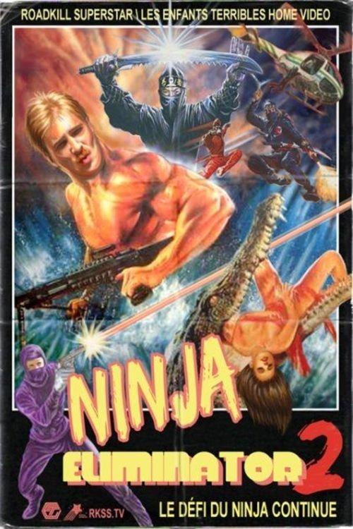 Ninja Eliminator 2: Quest of the Magic Ninja Crystal film afişi