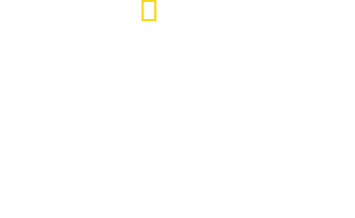 Dolphins Up Close with Bertie Gregory logo