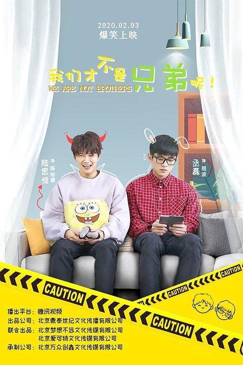 We Are Not Brothers dizi afişi