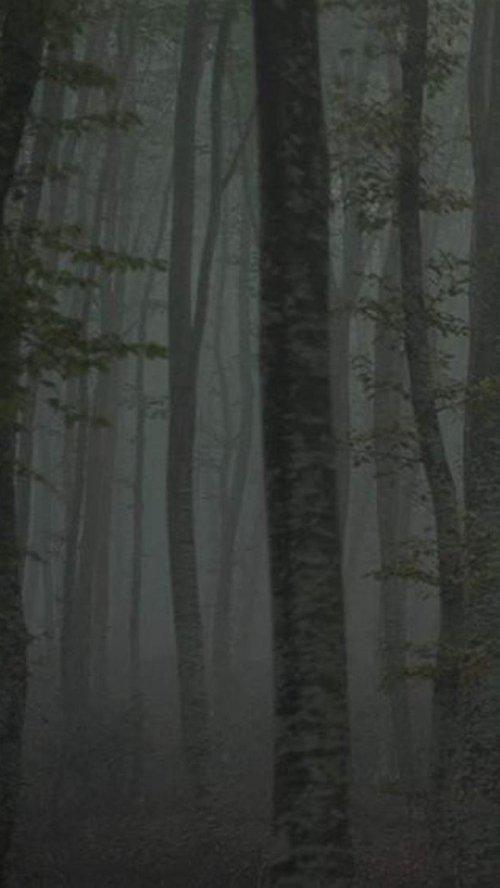 Refuge II: The Ice Path film afişi