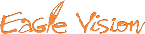 Eagle Vision logo
