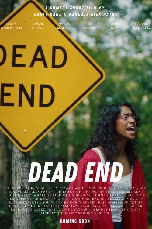 Dead End film afişi