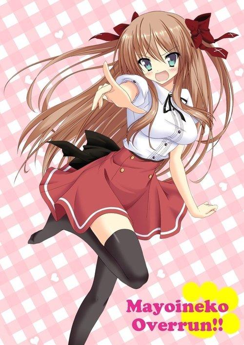 Stray Cats Overrun! Sezon 1